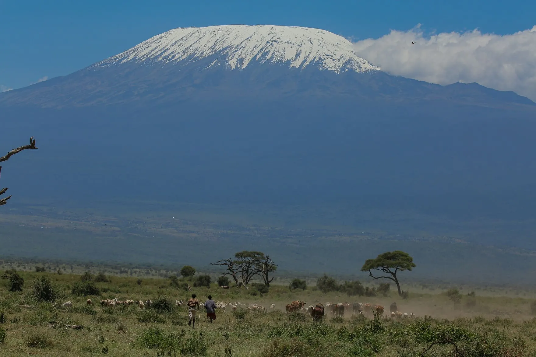 Amboseli safari packages from Nairobi