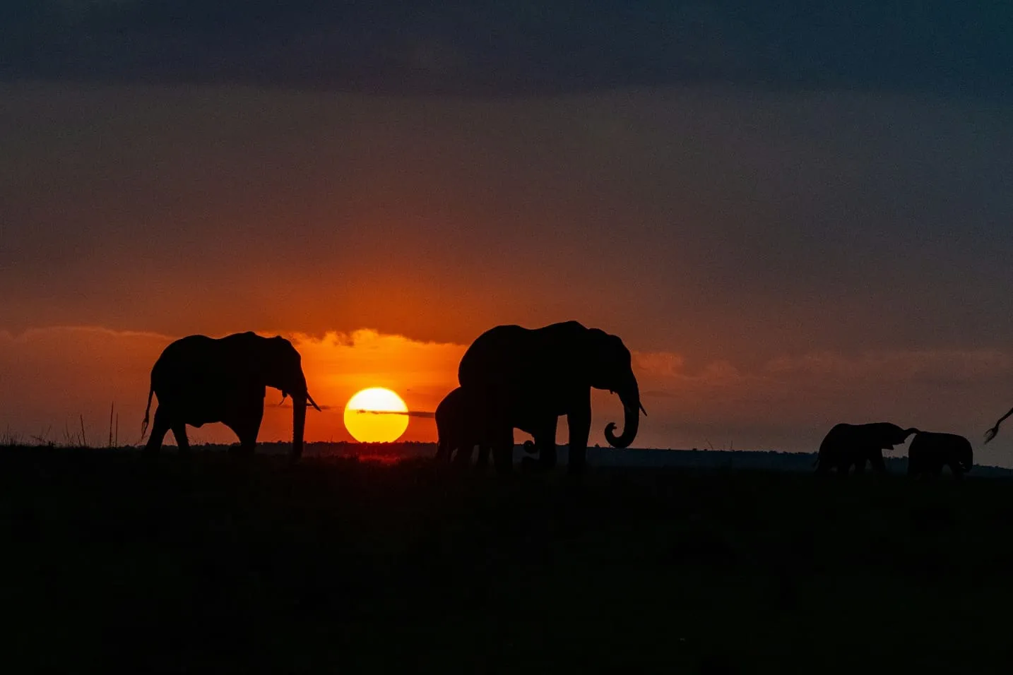 Tanzania safari destination in Serengeti National Park