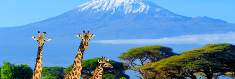 Amboseli National Park