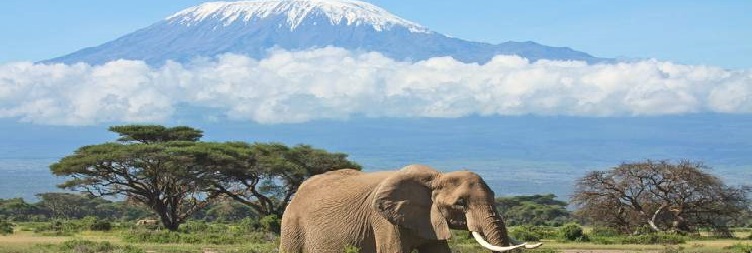 Amboseli National Park