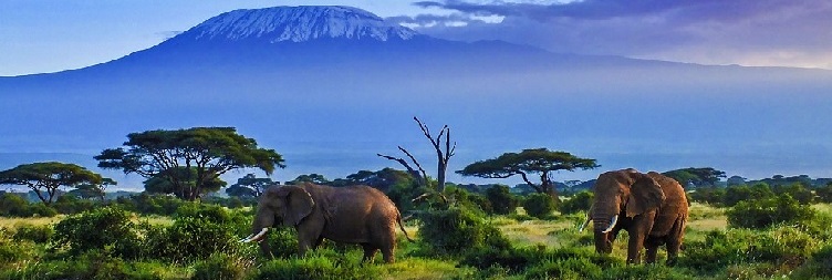 Amboseli National Park