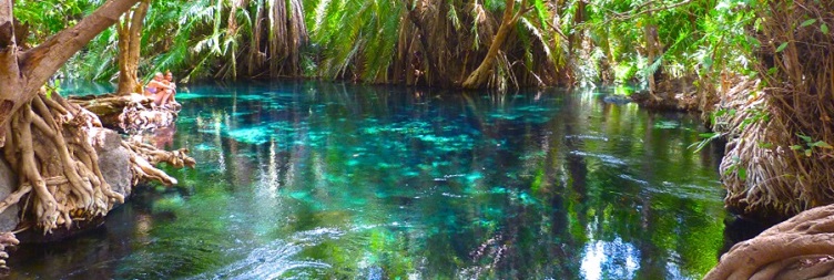 Trips in Chemka hot spring