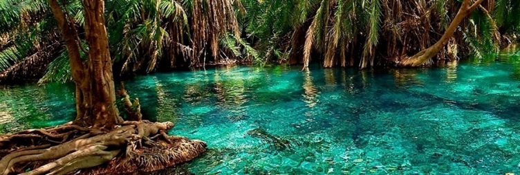 Prison Island 