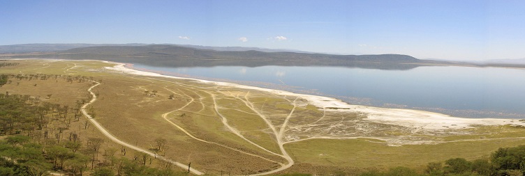 Full-Day Amboseli Safari