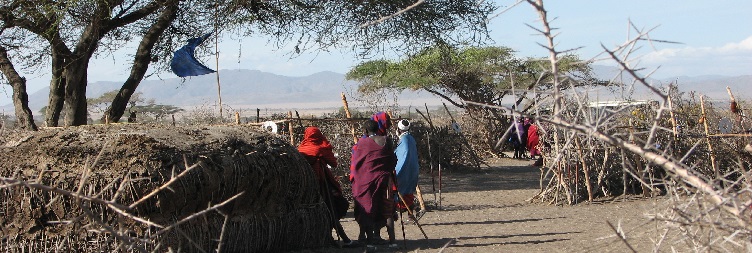 Lake Manyara National Park to Arusha transfer to Kilimanjaro airport fly to Zanzibar 