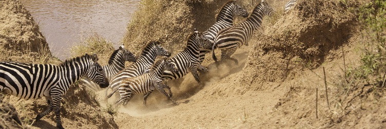 Serengeti National Park (Kogatende) - Serengeti National Park (Central)