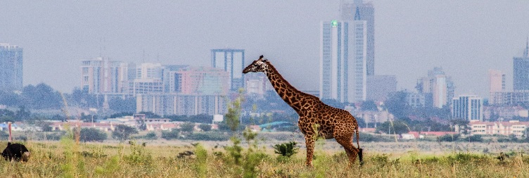 From Nairobi to Masai Mara National Park
