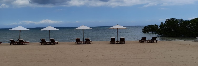 Arusha to Zanzibar (Flight not included in the price