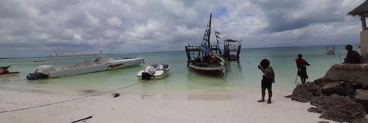 Relaxing at the beach Dinner and overnight at Luxury Melia Zanzibar Half board.