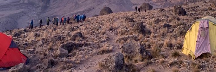 Barranco Camp {3900m} to Karanga camp (3995 m)
