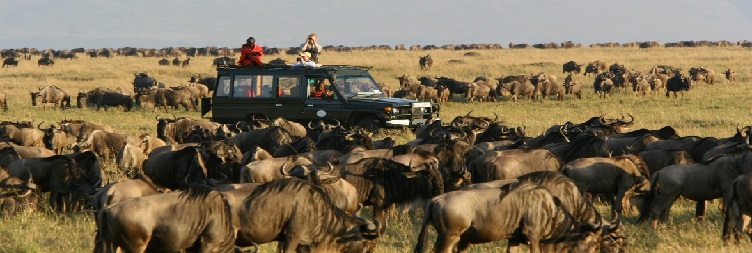 Serengeti National Park to Ngorongoro Conservation Area