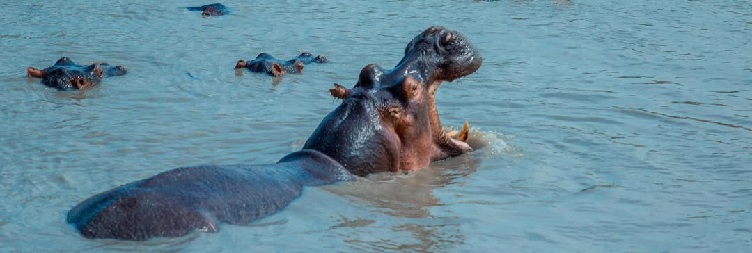 Lake Manyara National Park to Arusha