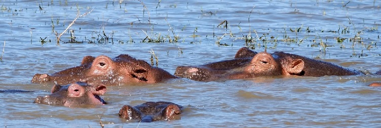  Ngorongoro Crater to Mto wa Mbu