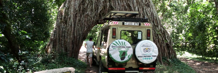 Lake Manyara to Serengeti National Park