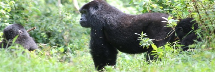 Arusha to Arusha National Park