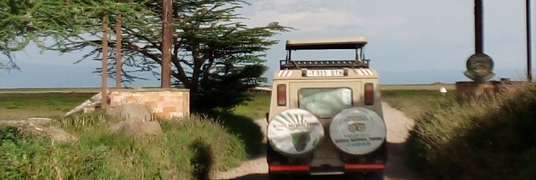  Arusha to Serengeti National Park