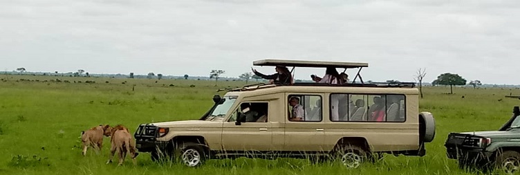 Ngorongoro Crater Back to Arusha