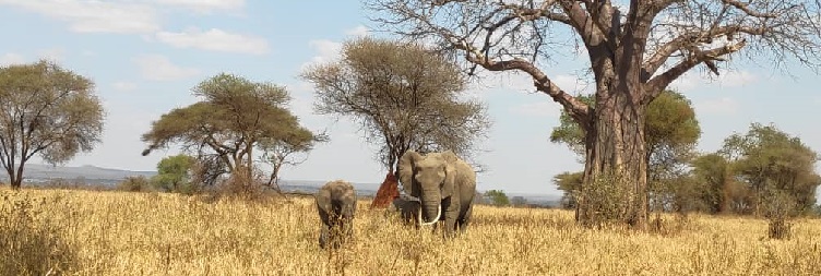 Mto wa Mbu to Serengeti National Park 