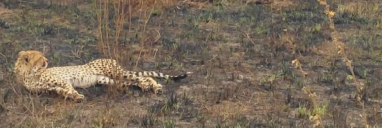 Lake Manyara National Park – Return to Arusha