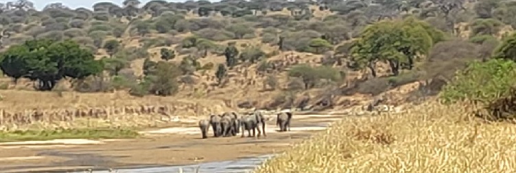 Ngorongoro Crater Exploration