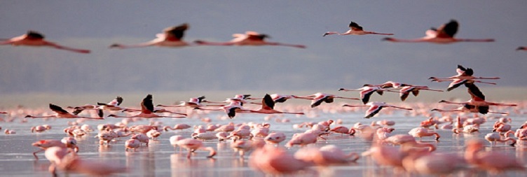 Ngorongoro Crater to Mto wa Mbu