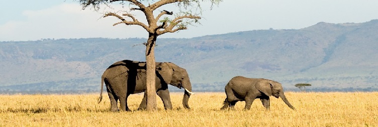 Ngorongoro Crater to Arusha