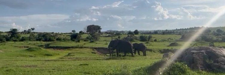  Arusha to Central Serengeti National Park