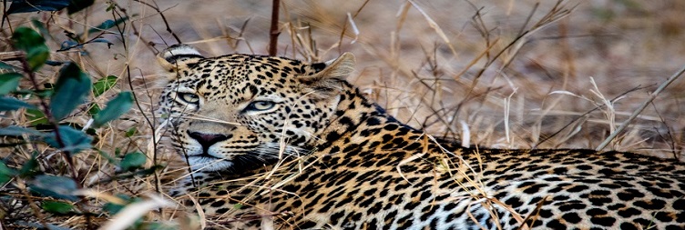 Ngorongoro Crater to Mto wa Mbu
