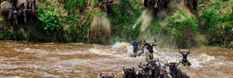 Ngorongoro Crater to Arusha 