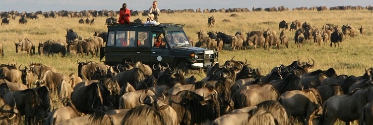 Serengeti National Park – Ngorongoro Conservations