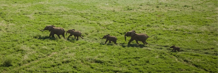  Group Luxury Trip from Mwanza to Serengeti