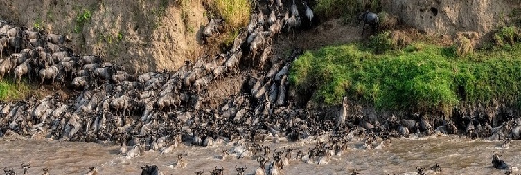 Serengeti National Park – Ngorongoro Conservations