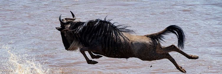 Ngorongoro Crater to Arusha 