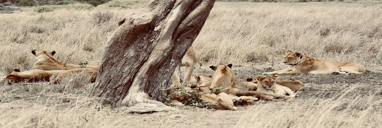 Mto wa Mbu to Serengeti National Park in Tanzania.