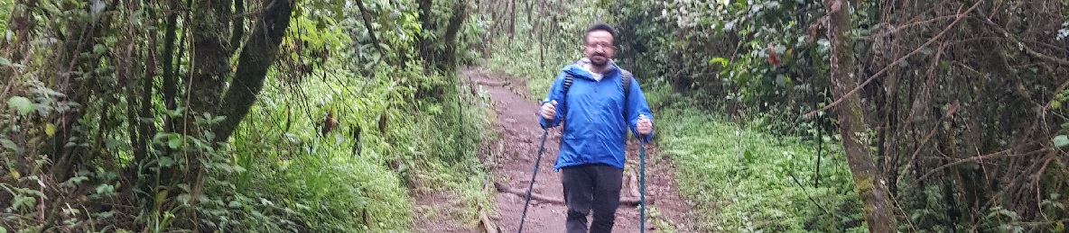 From Mandara hut to Horombo Hut