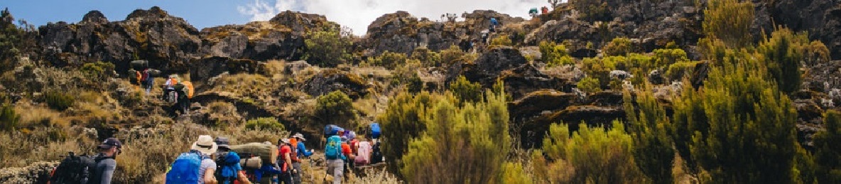 Horombo Hut to Mawenzi Hut to Horombo Hut