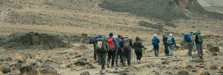 Kikelewa Camp to Mawenzi Tarn Camp (4,330 meters / 14,206 feet)