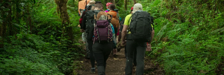 Machame Gate 1800 m to Machame Camp