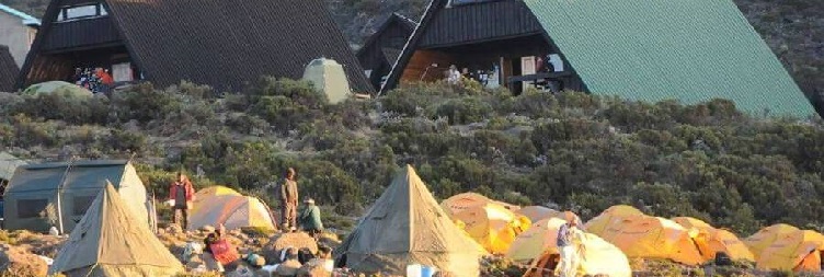 Kilimanjaro Day Hike