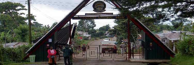 Marangu Cultural Tour, Coffee plantation, Cave, & water falls