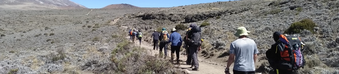 Kikelewa Camp to Mawenzi Tarn hut