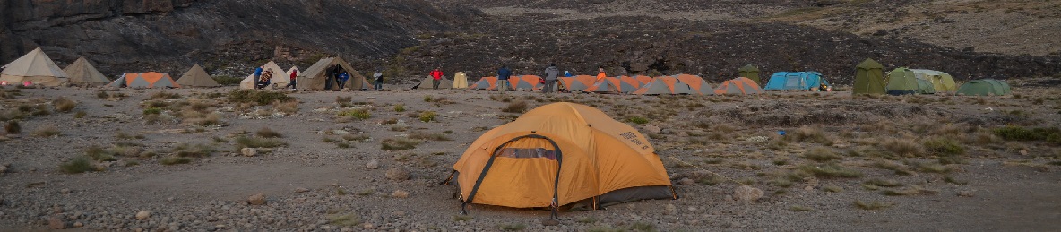 Millennium Camp (3,950 meters) to Mweka Gate (1,640 meters) 
