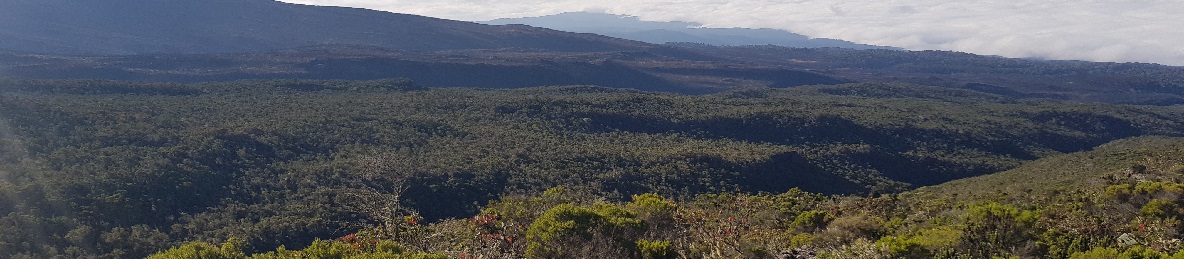 Barafu Camp to Uhuru Peak – Descent to Mweka Camp