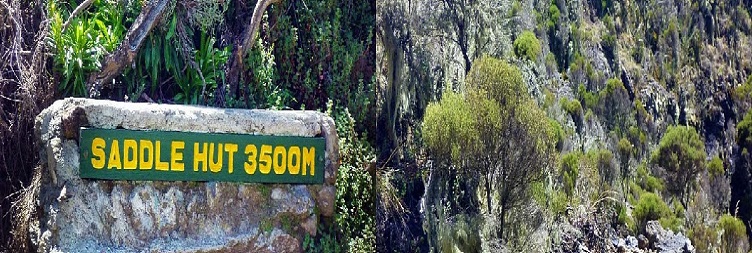 Summit Mount Meru – Descend to Momella Gate – Return to Arusha