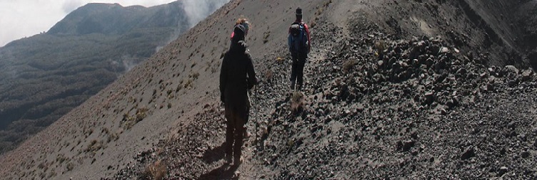 Summit Attempt – Descend to Trailhead – Return to Moshi
