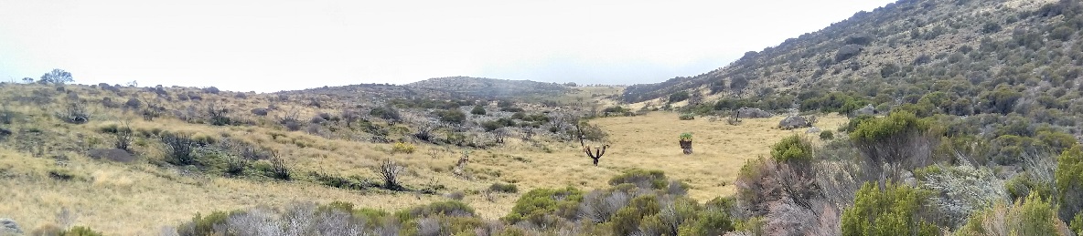 : SIMBA CAMP – SECOND CAVE CAMP