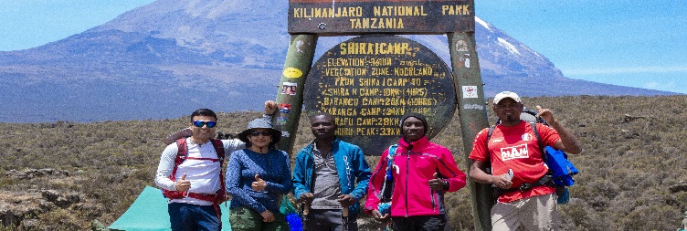  Mti mkubwa camp to Shira 1 Camp