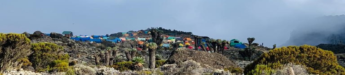 Simba Camp to Second Shira  Cave Camp (3,450 meters / 11,319 feet)
